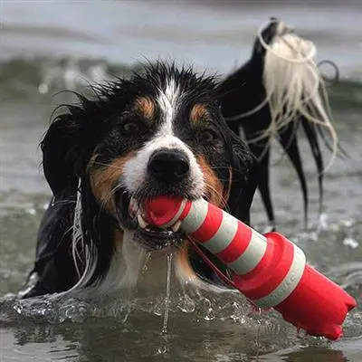 Rogz Lighthouse 25 cm Vandlegetøj - flydende vandlegetøj til hunde